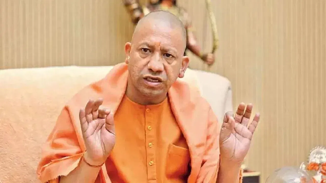 cm-yogi-2-1