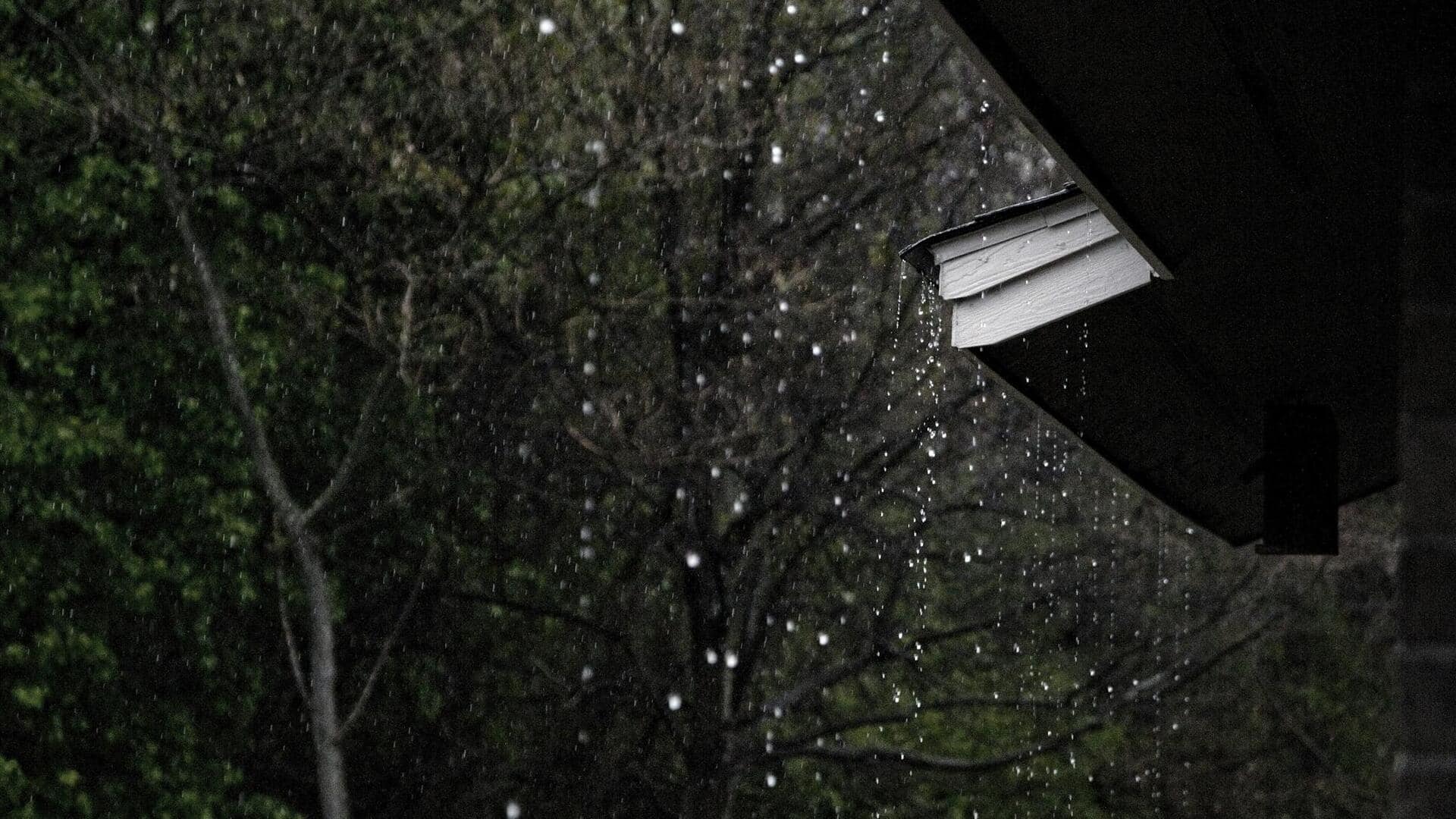 l48320250501090438